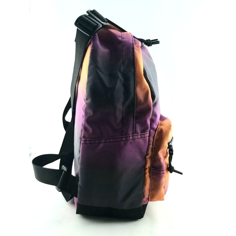 Converse Shiny Gradient GO LO Backpack