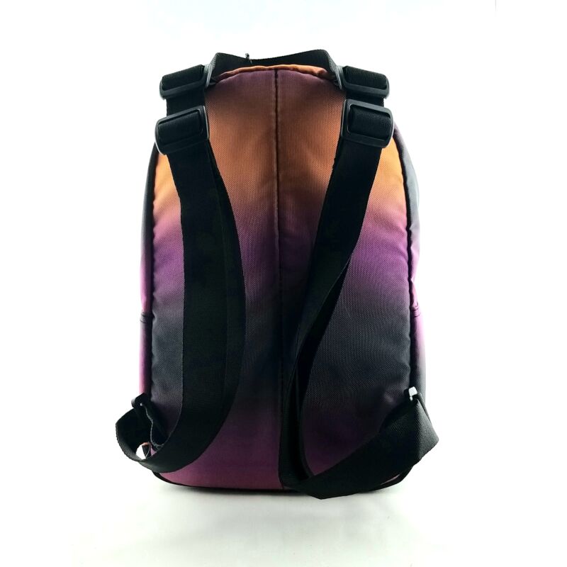 Converse Shiny Gradient GO LO Backpack